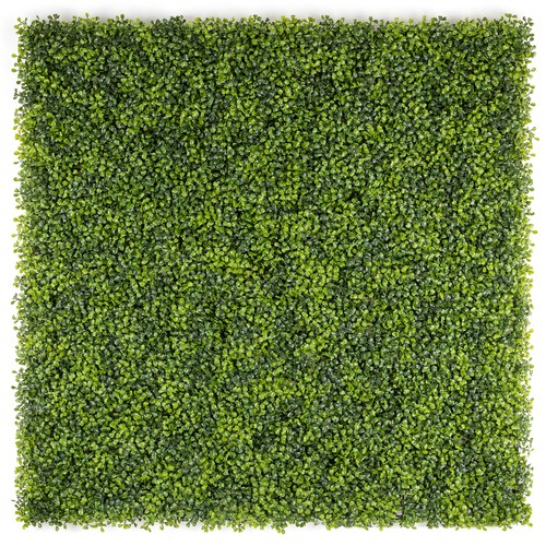 Artificial boxwood living wall - artificial,