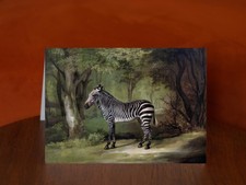 Zebra by George Stubbs (1763)
