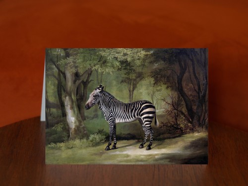 Zebra george stubbs - by,