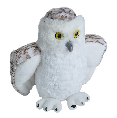 Snowy owl wild republic - owl,