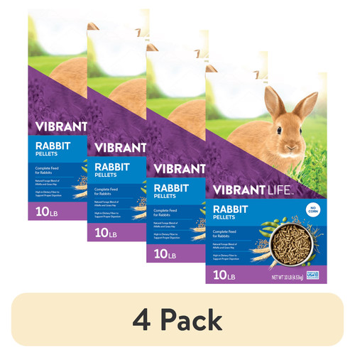 Vibrant life rabbit - vibrant,
