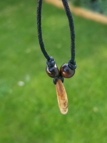 Authentic wolf tooth pendant