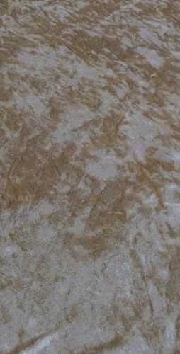 Ivory cream designer - ivory,