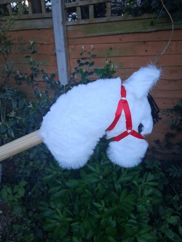 Hobby horse - a,