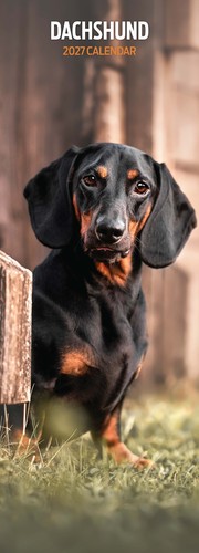 Dachshund 2027 slim - dachshund,