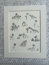 NEW THE BOY THE MOLE  THE FOX THE HORSE AND THE STORM MACKESY MOUNTED BOOK PAGE