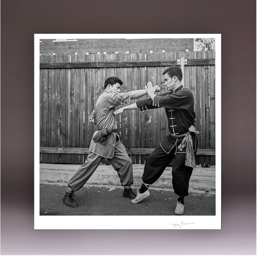 Bruce lee jung fan - fan, fu'