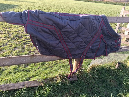 5ft weatherbeeta stable rug - weatherbeeta,