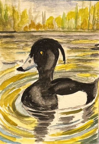 Aceo original watercolour - aceo,