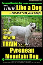 Pyrenean mountain dog - mountain,