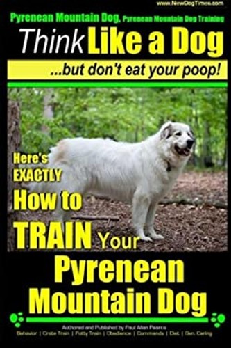 Pyrenean mountain dog - pyrenean,