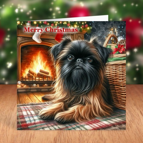 Brussels griffon dog christmas - brussels,