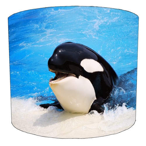 Killer whale orca lampshade - killer,