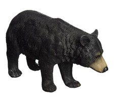 North american black - north,