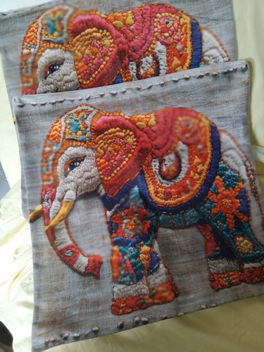 Red indian elephant - x,