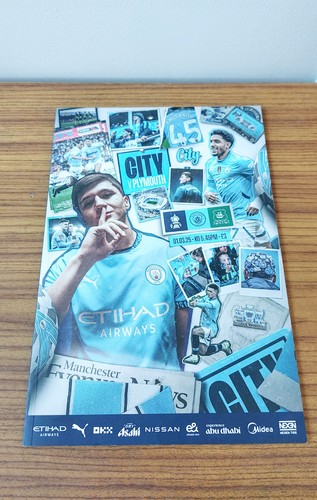 Manchester city cup - city, fa