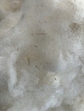 5 Lbs Felting Organic Natural