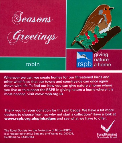 Rspb pin badge - pin,