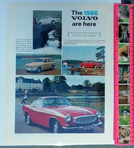 1966 volvo 1800 - 1966,