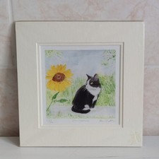 Grenville Allen Black Cat
