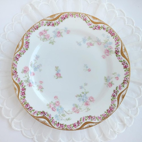 Haviland 461 plate 4 - 461,