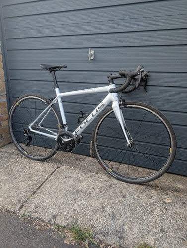 Focus izalco race - focus, road