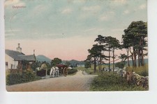 View of horse cart at