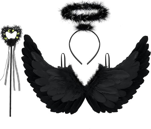 Black angel wings and halo - and,