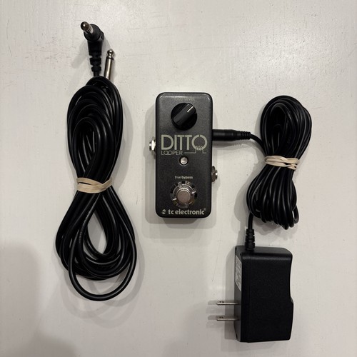 Ditto looper guitar loop - ditto,