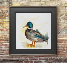 Mallard Duck Painting Original