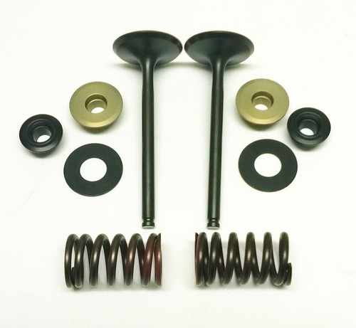 Psychic exhaust valve - exhaust, valve+spring
