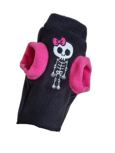 Kitten skull sphynx cat - kitten,