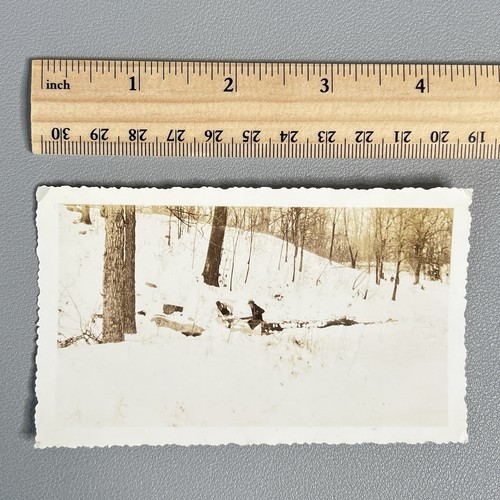 Vtg 1935 logging snapshot - 1935,