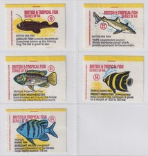 British tropical fish anglo - &,