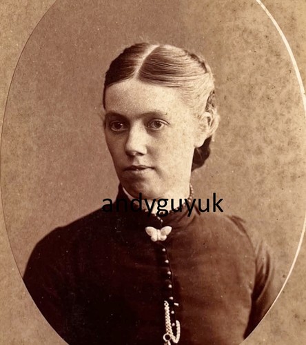 Cabinet card lady insect - cabinet,