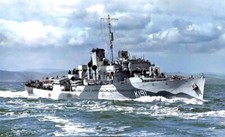 20 PHOTOGRAPHS OF FLOWER CLASS