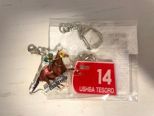 Ushba tesoro acrylic - tesoro,