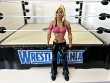 WWE Madison Rayne Wrestling Figure Jakks TNA Deluxe Female Diva COMBINED P&P