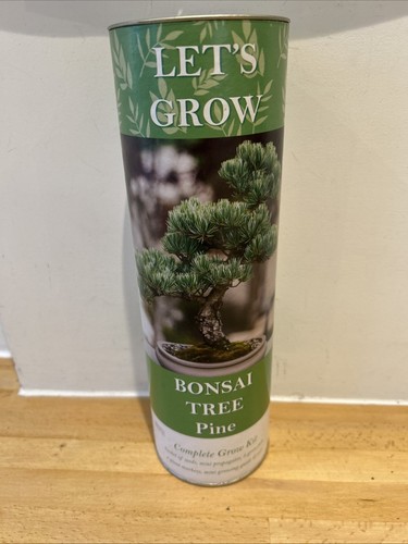 Bonsai growing kit - -, let’s