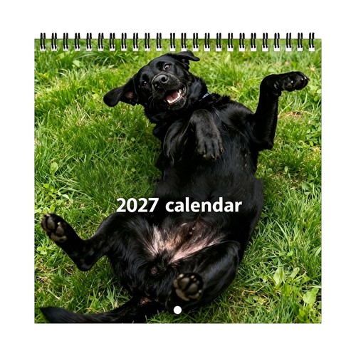 Black lab puppy calendar - lab,