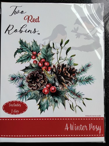 Two red robins winter - robins, posy