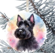 Scottish Scottie Terrier Dog
