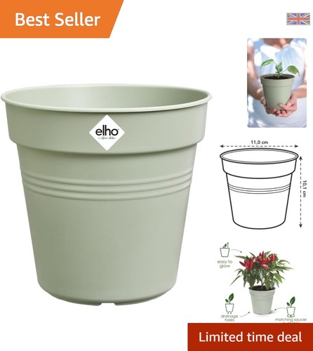 Compact 11cm stone green plant - 11cm,