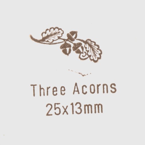 Oak tree and - tree, acorn