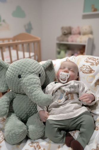 Dylan cute reborn doll boy - cute,
