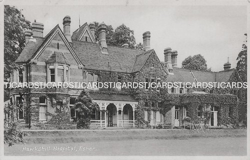 Early esher hawkshill - ,