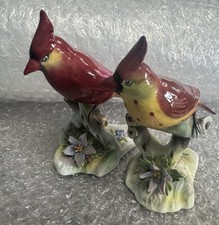 Male And Female Pair Cardinals Royal Adderley