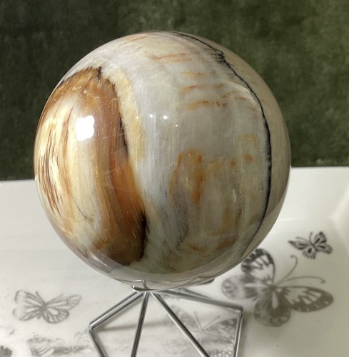 Crystal white petrified wood - white,