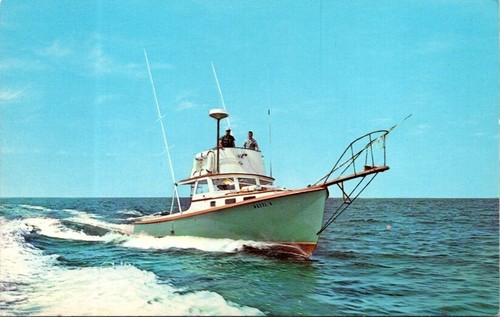Vintage postcard fishing - postcard,