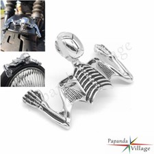 Chrome skull skeleton - skeleton, for